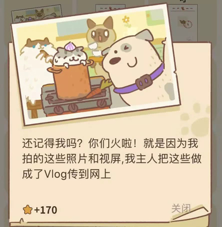 动物餐厅海德薇攻略大全-怎么放东西信件详解