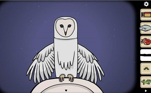 samsara-room猫头鹰怎么转-猫头鹰转头技巧攻略