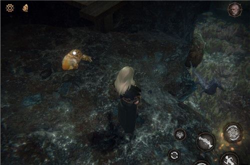 帕斯卡契约第四章赫吉位置-青蛙赫吉在哪里