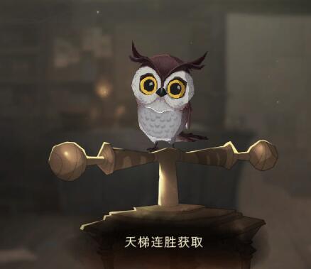 哈利波特魔法觉醒猫头鹰怎么获得-获取方式分享