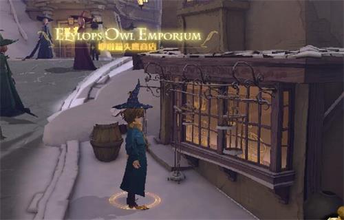 哈利波特魔法觉醒猫头鹰商店在哪里-进入方法介绍