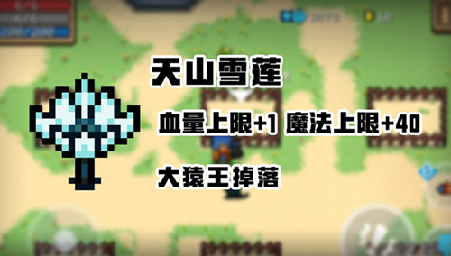 元气骑士天山雪莲有什么作用-怎么获得方式一览