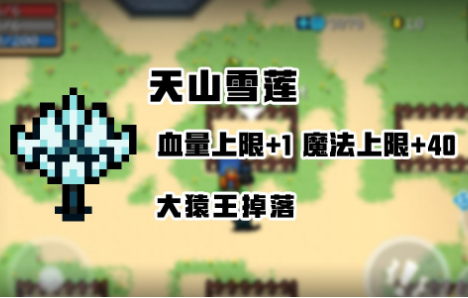 元气骑士天山雪莲是一次性的吗-是永久使用的吗